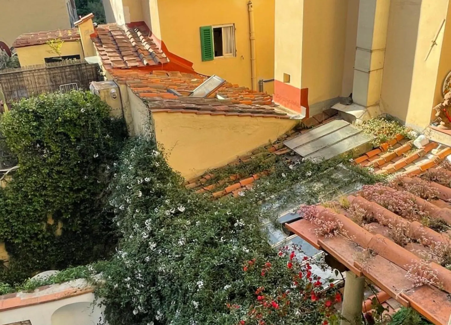 Michelangiolo Appartment Флоренция 0*,  Италия